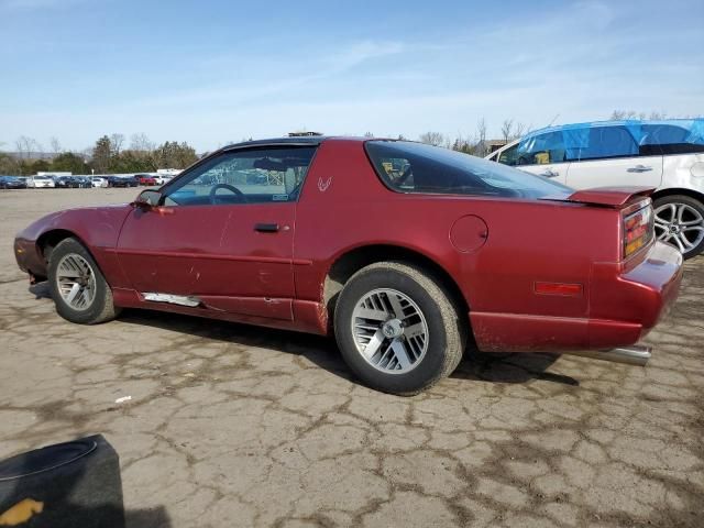 1991 Pontiac Firebird Base