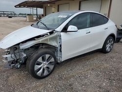 Salvage cars for sale from Copart Temple, TX: 2023 Tesla Model Y