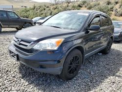 Salvage cars for sale from Copart Reno, NV: 2011 Honda CR-V SE