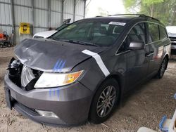 Salvage cars for sale from Copart Midway, FL: 2013 Honda Odyssey EXL