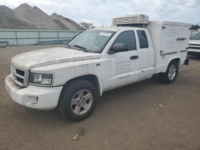 2011 Dodge Dakota SLT