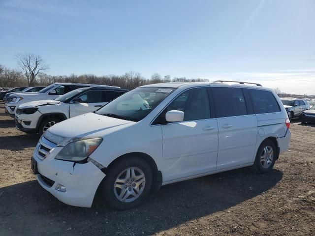 2005 Honda Odyssey EXL