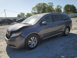 Honda Odyssey exl Vehiculos salvage en venta: 2015 Honda Odyssey EXL