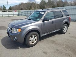 Ford Escape salvage cars for sale: 2012 Ford Escape XLT