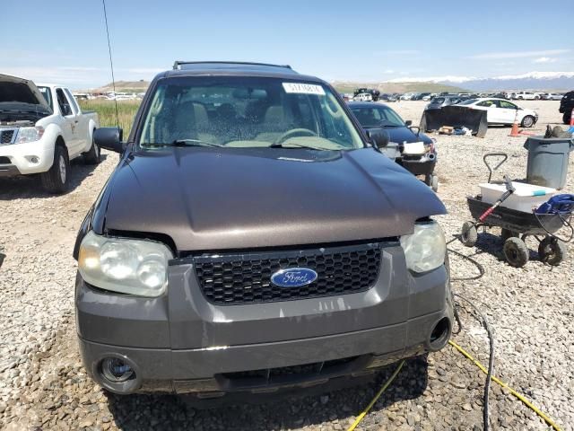 2006 Ford Escape XLT