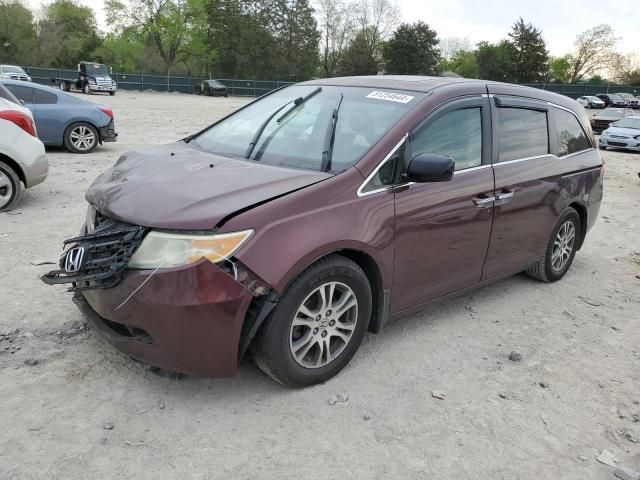 2011 Honda Odyssey EXL