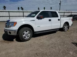 Salvage cars for sale at Mercedes, TX auction: 2011 Ford F150 Supercrew