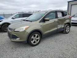 Salvage cars for sale from Copart Louisville, KY: 2013 Ford Escape SE
