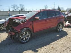 Salvage cars for sale at Lansing, MI auction: 2013 Ford Escape SEL