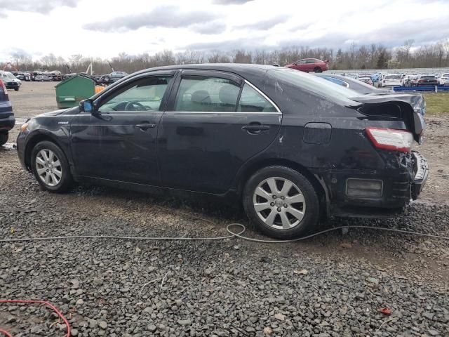 2011 Toyota Camry Hybrid