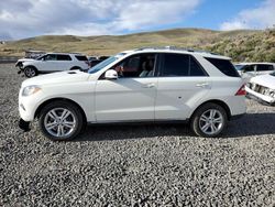 Mercedes-Benz salvage cars for sale: 2013 Mercedes-Benz ML 350