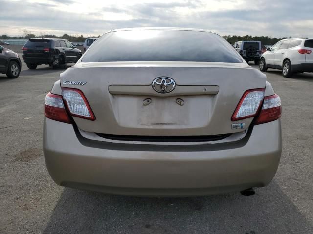 2008 Toyota Camry Hybrid