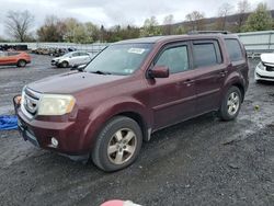 Salvage cars for sale from Copart Grantville, PA: 2009 Honda Pilot EXL