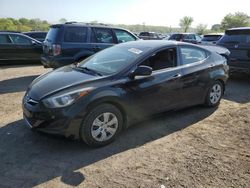 Salvage cars for sale at Baltimore, MD auction: 2016 Hyundai Elantra SE