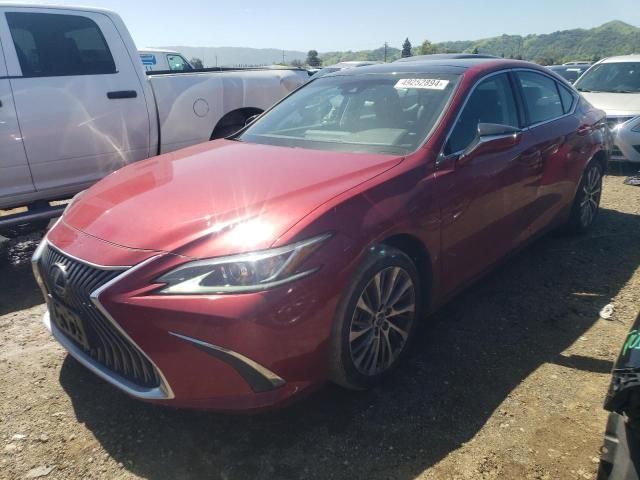 2019 Lexus ES 350