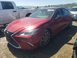 Lexus salvage cars for sale: 2019 Lexus ES 350