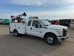 Salvage trucks for sale at Avon, MN auction: 2012 Ford F350 Super Duty