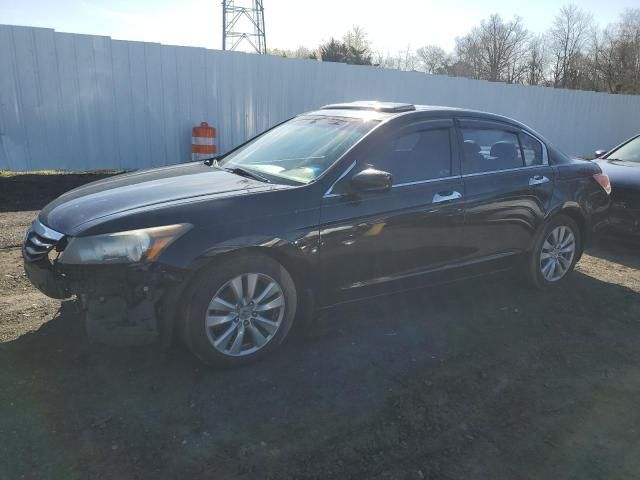 2011 Honda Accord EXL