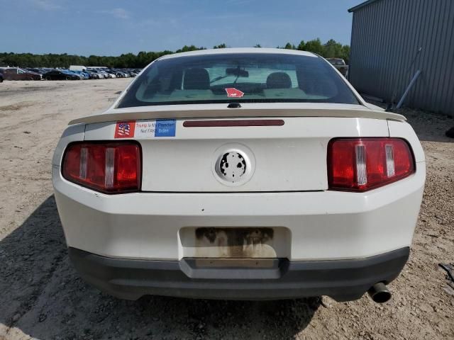 2010 Ford Mustang