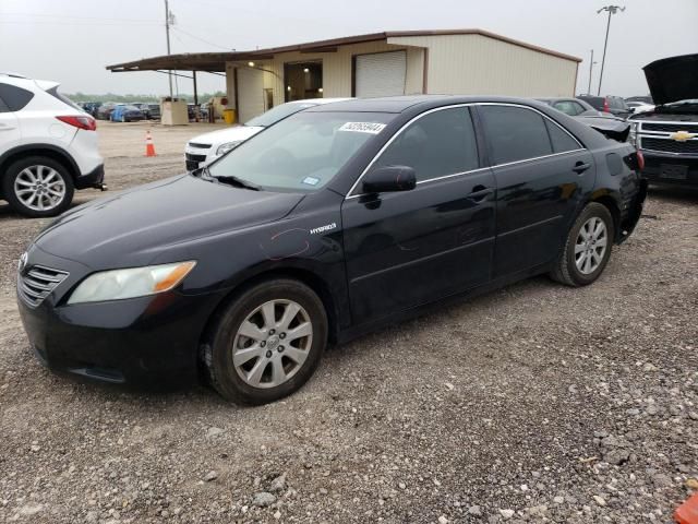 2008 Toyota Camry Hybrid