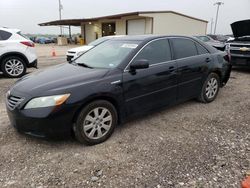Salvage cars for sale at Temple, TX auction: 2008 Toyota Camry Hybrid