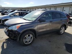 Salvage cars for sale from Copart Louisville, KY: 2010 Honda CR-V EX