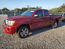 Salvage cars for sale from Copart Riverview, FL: 2006 Toyota Tacoma Access Cab
