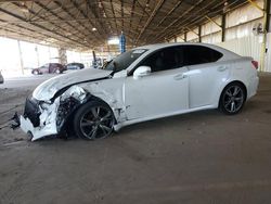 Salvage cars for sale at Phoenix, AZ auction: 2010 Lexus IS 250