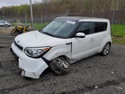 Salvage cars for sale at Finksburg, MD auction: 2016 KIA Soul