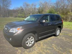 Salvage cars for sale at New Britain, CT auction: 2013 Lexus GX 460