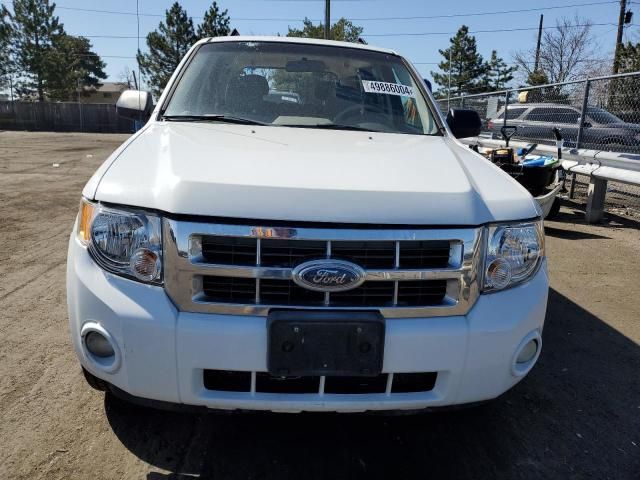 2008 Ford Escape XLT