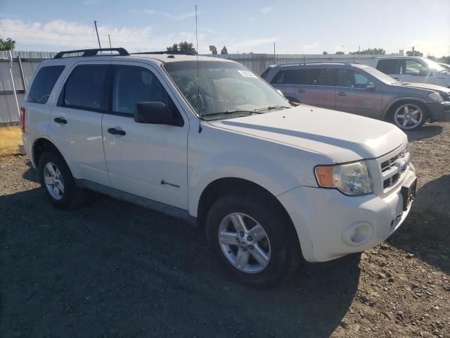 2009 Ford Escape Hybrid