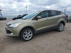 Ford Escape SEL salvage cars for sale: 2013 Ford Escape SEL