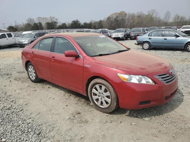 2007 Toyota Camry Hybrid