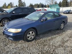 Honda Accord salvage cars for sale: 2001 Honda Accord EX