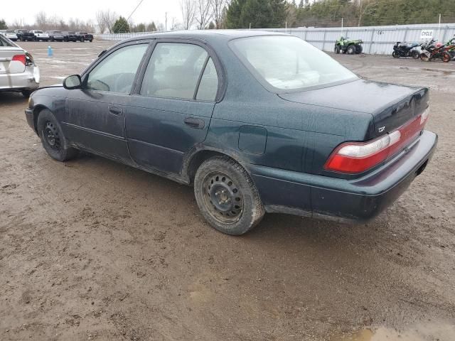 1996 Toyota Corolla DX