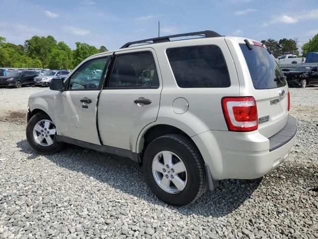 2009 Ford Escape XLT