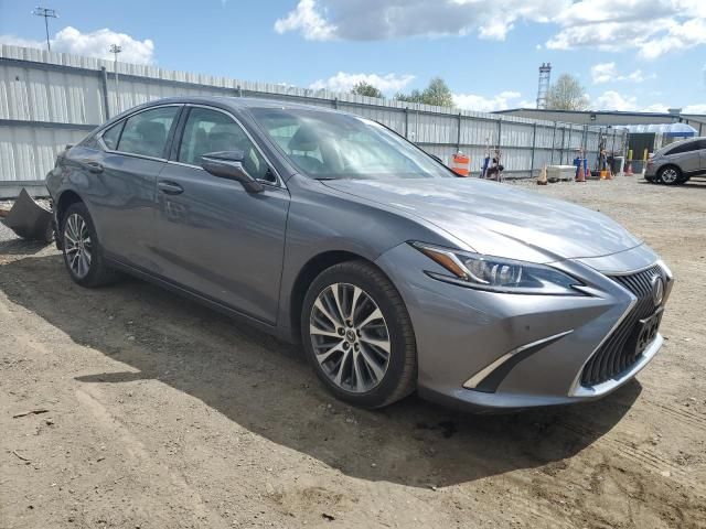 2021 Lexus ES 250 Base