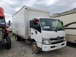 Salvage trucks for sale at Fort Wayne, IN auction: 2020 Hino 155