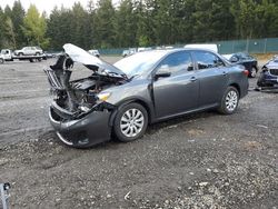 Salvage cars for sale from Copart Graham, WA: 2013 Toyota Corolla Base