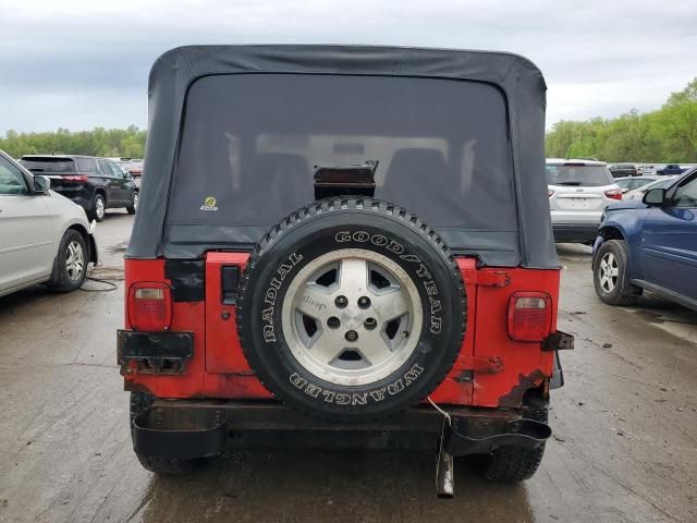 1995 Jeep Wrangler / YJ S