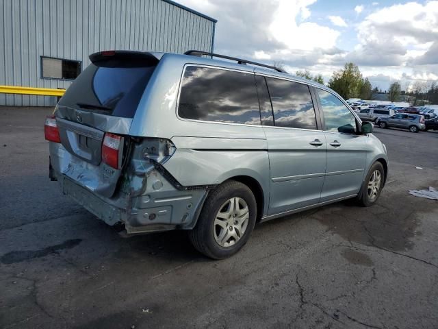 2005 Honda Odyssey EXL