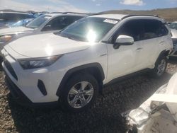 Vehiculos salvage en venta de Copart Reno, NV: 2019 Toyota Rav4 LE