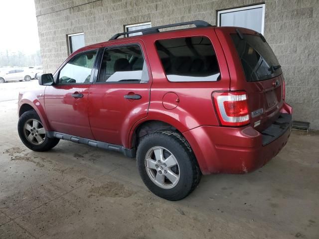 2008 Ford Escape XLT