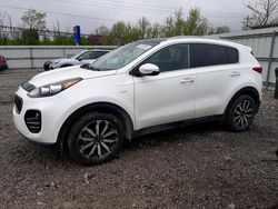 Salvage cars for sale at Walton, KY auction: 2017 KIA Sportage EX