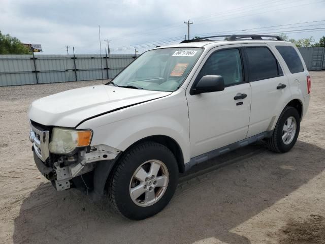 2010 Ford Escape XLT