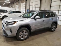 Toyota Rav4 XLE salvage cars for sale: 2023 Toyota Rav4 XLE