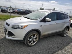 Salvage cars for sale at Eugene, OR auction: 2013 Ford Escape Titanium