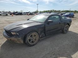 Salvage cars for sale from Copart Indianapolis, IN: 2010 Ford Mustang