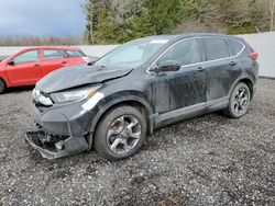 Salvage cars for sale from Copart Bowmanville, ON: 2019 Honda CR-V EX